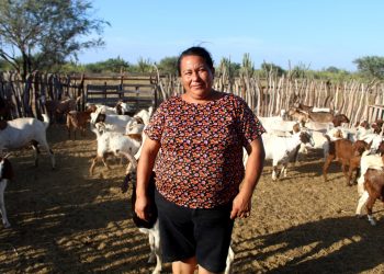 RECONOCE SEPADA A MUJERES RURALES DE BCS POR SU LIDERAZGO EN EL CAMPO
