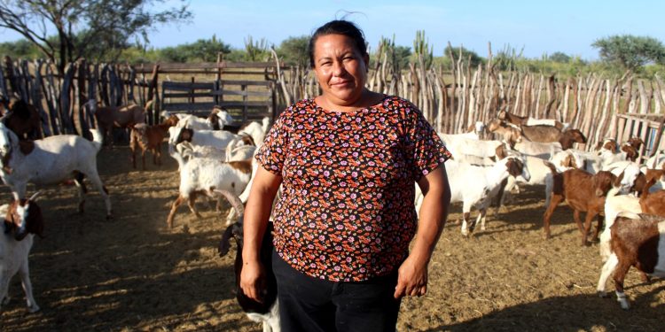 RECONOCE SEPADA A MUJERES RURALES DE BCS POR SU LIDERAZGO EN EL CAMPO