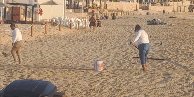CONTINÚA ZOFEMAT CON LIMPIEZA DE PLAYAS EN LOS CABOS