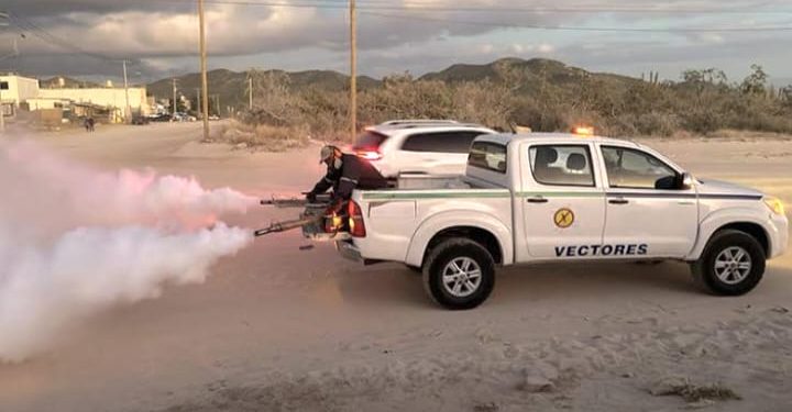 REFUERZA LA DIRECCIÓN MUNICIPAL DE SALUD ESTRATEGIAS DE FUMIGACIÓN PARA COMBATIR EL DENGUE EN LOS CABOS