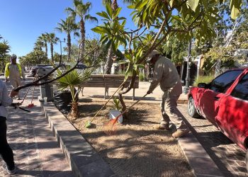 IMPULSA SERVICIOS PÚBLICOS ACCIONES DE LIMPIEZA EN EL BULEVAR TENIENTE JOSÉ ANTONIO MIJARES EN SJC