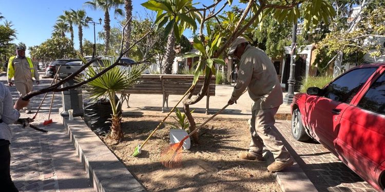 IMPULSA SERVICIOS PÚBLICOS ACCIONES DE LIMPIEZA EN EL BULEVAR TENIENTE JOSÉ ANTONIO MIJARES EN SJC