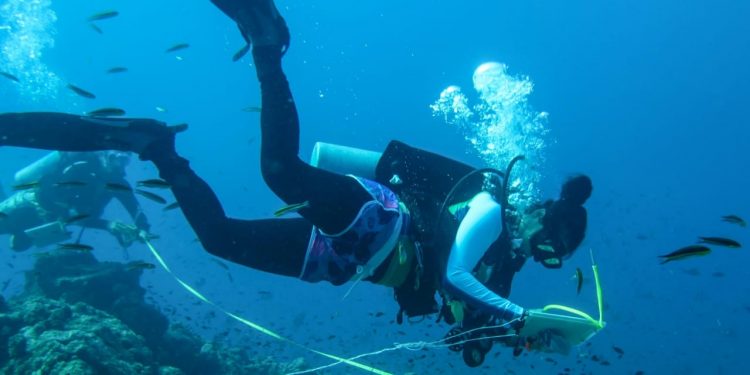 UABCS ABRE PROCESO DE ADMISIÓN PARA SU LICENCIATURA EN BIOLOGÍA MARINA