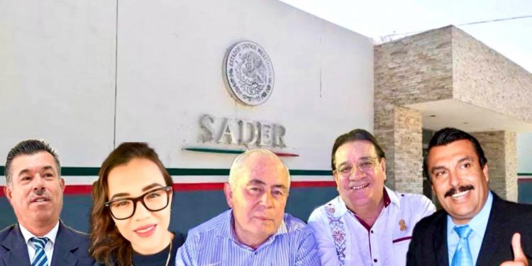 DIRECTO… Y AL GRANO/ LEONEL: ¡A FORMAR EQUIPO!