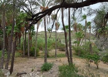 SESIONA EN BCS, MECANISMO ESTATAL DE COORDINACIÓN EN MATERIA DE BÚSQUEDA