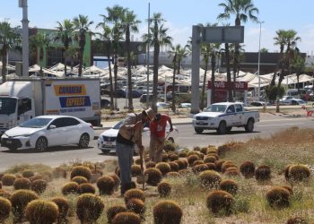 REHABILITA SERVICIOS PÚBLICOS LA GLORIETA “FONATUR “ DE SJC
