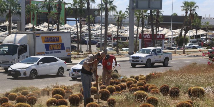 REHABILITA SERVICIOS PÚBLICOS LA GLORIETA “FONATUR “ DE SJC