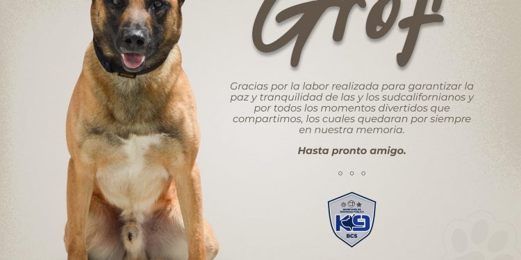 MUERE ELEMENTO CANINO PERTENECIENTE A LA UNIDAD CANINA K9