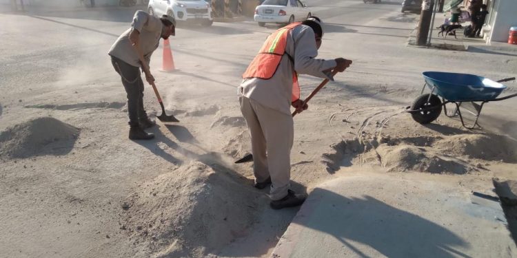 SIGUE LA LIMPIEZA DE CAMELLONES Y AVENIDAS DE SAN JOSÉ DEL CABO