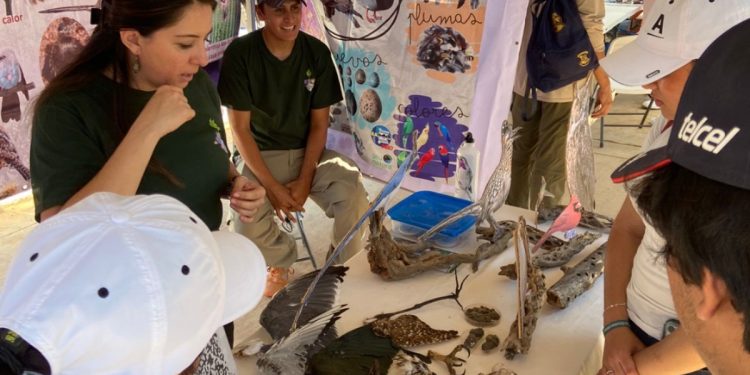 ÉXITO ROTUNDO EN EL 2DO FESTIVAL DE AVES DEL SANTUARIO DE LOS CACTUS