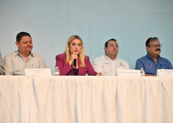 “SI A LAS ENERGÍAS LIMPIAS Y RENOVABLES DE BCS”: DIPUTADA KARINA OLIVAS PARRA