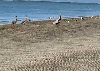 ABCdario Por Víctor Octavio García