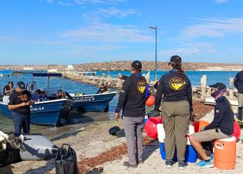 ACADÉMICOS DE LA UABCS PARTICIPAN EN CAPACITACIÓN Y ENTRENAMIENTO PARA EL DESENMALLE DE GRANDES BALLENAS
