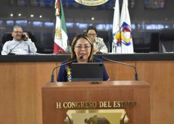 SE DISEÑA UN VIOLENTOMETRO DIRIGIDO A LA NIÑEZ DE PREESCOLAR EN BCS: DIPUTADA TERESITA VALENTÍN