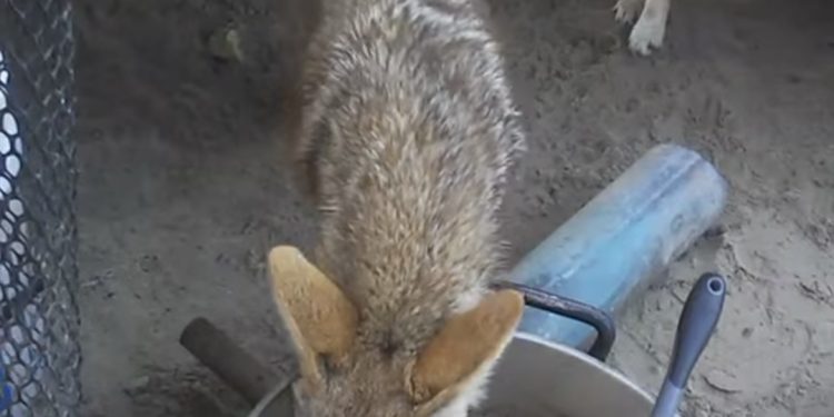 ABCdario Por Víctor Octavio García