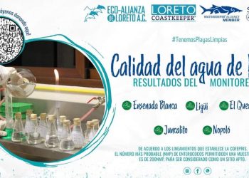 TRAS LAS HUELLAS Por Monserrath Villalejo Baeza