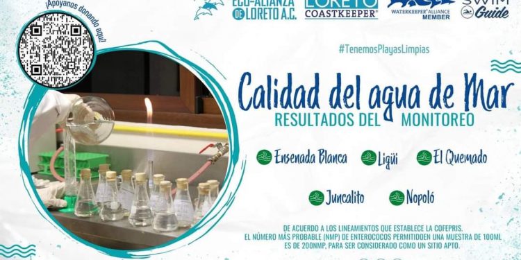 TRAS LAS HUELLAS Por Monserrath Villalejo Baeza