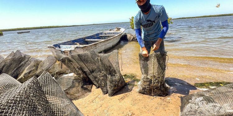 CONCLUYE AMPLIACIÓN DE RED DE AGUA POTABLE EN LA LOCALIDAD DE CADUAÑO