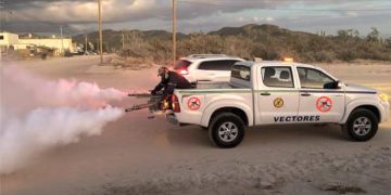 EN LOS CABOS SE REFUERZAN ACCIONES CONTRA LA PROPAGACIÓN DEL MOSQUITO TRANSMISOR DEL DENGUE