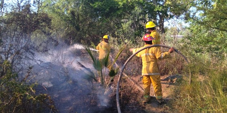 GARANTIZA BECA UNIVERSAL “RITA CETINA” EL DERECHO A LA EDUCACIÓN SECUNDARIA