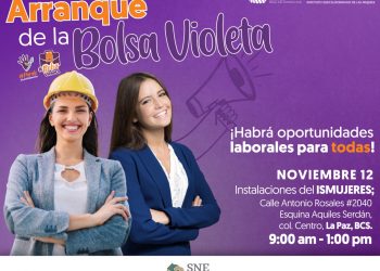 PRESENTA SSPE APLICACIÓN “APOYO VIOLETA” PARA ATENDER A MUJERES VÍCTIMAS DE VIOLENCIA