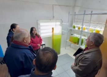 INSTALAN LABORATORIO DE SEMILLA DE OSTIÓN EN GUERRERO NEGRO