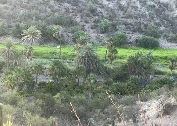 ABCdario Por Víctor Octavio García