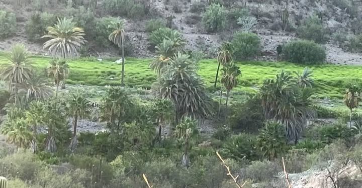 ABCdario Por Víctor Octavio García