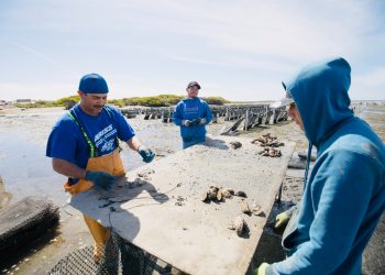 BRINDAN ATENCIÓN A MÁS DE 8 MIL JÓVENES EN BCS A TRES AÑOS DE GOBIERNO