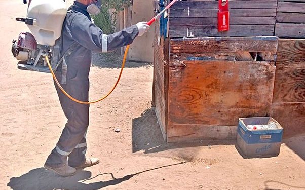 FINALIZA EN LA PAZ PRIMERA ETAPA DE LA CARAVANA ACADÉMICA DE NIVEL BÁSICO