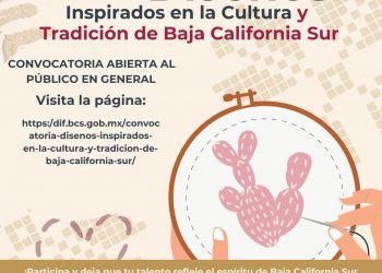 PRESENTA SSPE APLICACIÓN “APOYO VIOLETA” PARA ATENDER A MUJERES VÍCTIMAS DE VIOLENCIA