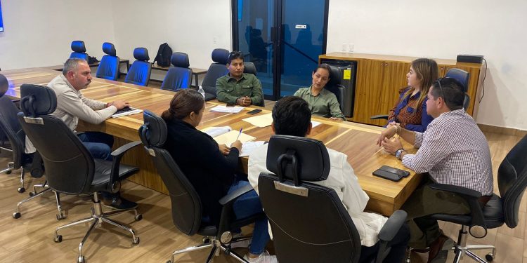 BUSCAN REDUCIR ACCIDENTES VIALES POR PRESENCIA DE GANADO EN CARRETERAS EN LOS CABOS   