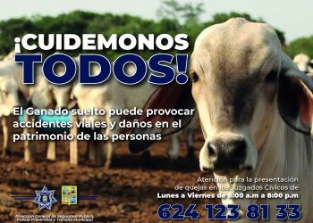 IMPLEMENTARÁ AYUNTAMIENTO DE LOS CABOS ACCIONES POR GANADO SUELTO