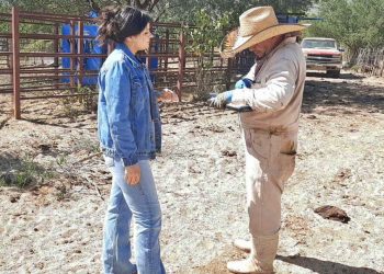 BUSCAN MEJORAR IMAGEN DE LA CARRETERA TRANSPENINSULAR EN LOS CABOS CON EL PROGRAMA “ADOPTA UN KILÓMETRO”