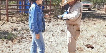 BUSCAN MEJORAR IMAGEN DE LA CARRETERA TRANSPENINSULAR EN LOS CABOS CON EL PROGRAMA “ADOPTA UN KILÓMETRO”