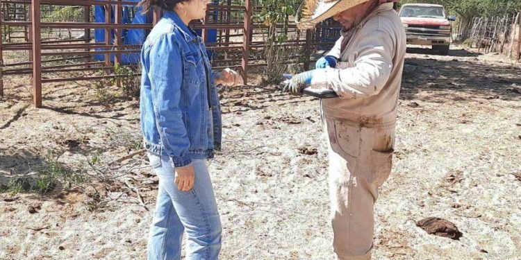 BUSCAN MEJORAR IMAGEN DE LA CARRETERA TRANSPENINSULAR EN LOS CABOS CON EL PROGRAMA “ADOPTA UN KILÓMETRO”