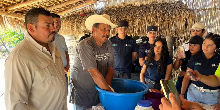    LAS MUJERES EN LOS CABOS “NO ESTÁN SOLAS”, DESTACÓ ALCALDE CHRISTIAN AGÚNDEZ