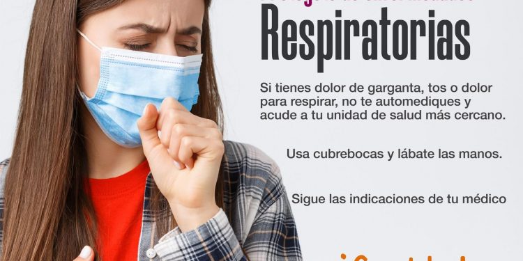 BUSCAN REDUCIR ACCIDENTES VIALES POR PRESENCIA DE GANADO EN CARRETERAS EN LOS CABOS   