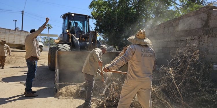 ZOFEMAT FOMENTA EL CUIDADO AMBIENTAL EN ESTUDIANTES DE CABO SAN LUCAS