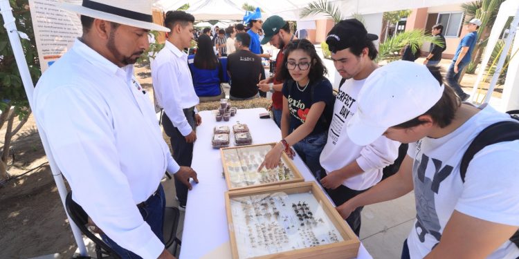UABCS CELEBRA CON ÉXITO UNA EDICIÓN MÁS DE SU FERIA EDUCATIVA