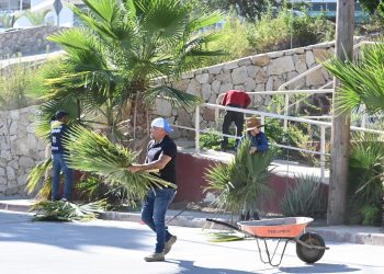 TRAS REPORTES REALIZA SERVICIOS PÚBLICOS REPARACIÓN DE ALUMBRADO PÚBLICO EN COLONIAS DE LOS CABOS