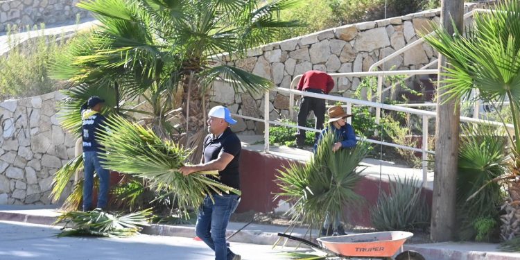 TRAS REPORTES REALIZA SERVICIOS PÚBLICOS REPARACIÓN DE ALUMBRADO PÚBLICO EN COLONIAS DE LOS CABOS