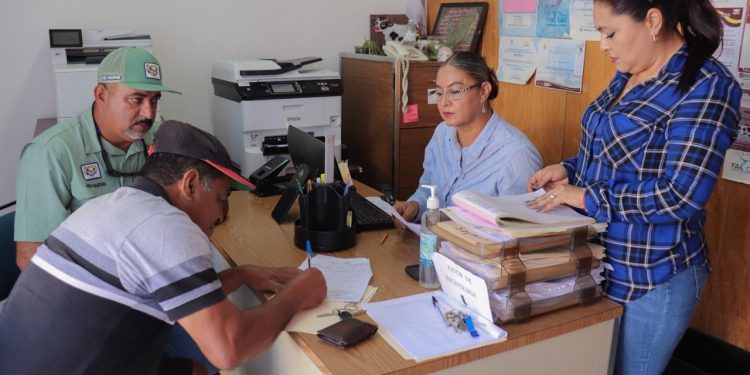 TRAS REPORTES REALIZA SERVICIOS PÚBLICOS REPARACIÓN DE ALUMBRADO PÚBLICO EN COLONIAS DE LOS CABOS