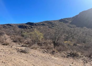 ABCdario Por Víctor Octavio García