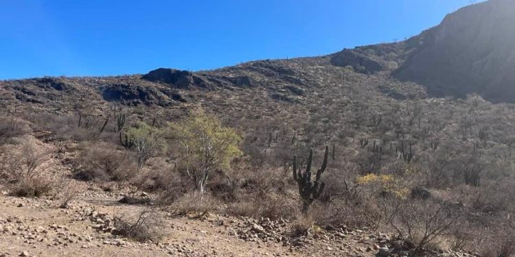 ABCdario Por Víctor Octavio García