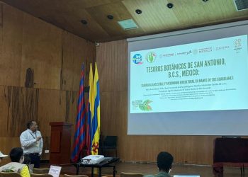 UABCS DA A CONOCER RESULTADOS DE SU  CONVOCATORIA PÚBLICA PARA INTEGRARSE  AL CONSEJO CIUDADANO DE RADIODIFUSIÓN