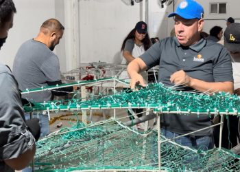 INSTALAN LABORATORIO DE SEMILLA DE OSTIÓN EN GUERRERO NEGRO