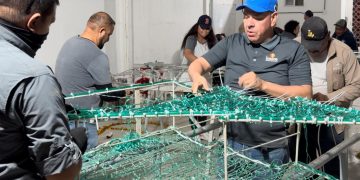 INSTALAN LABORATORIO DE SEMILLA DE OSTIÓN EN GUERRERO NEGRO