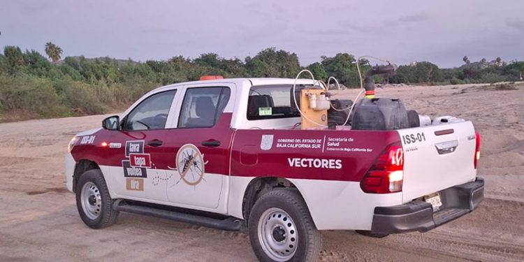 SOSTIENE GOBIERNO ESTATAL ESFUERZOS DE FUMIGACIÓN CONTRA MOSCO TRANSMISOR DEL DENGUE EN LOS CABOS