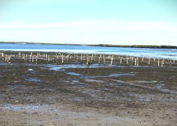 BAJA CALIFORNIA SUR CUENTA CON DIEZ CUERPOS DE AGUA CERTIFICADOS